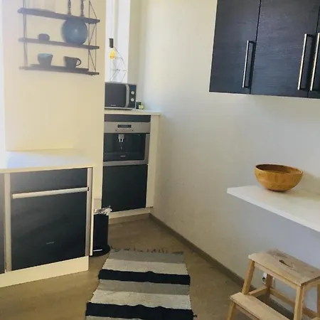 Apartment Downtown Style *
